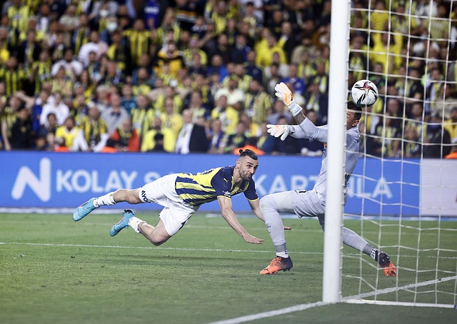 象征性行为 象征性行为