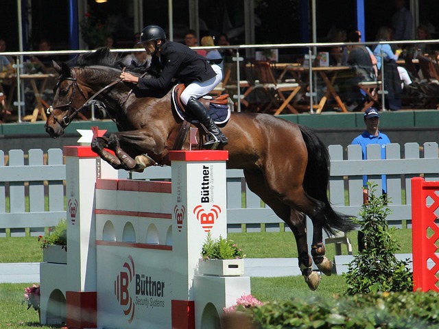 就今天，火箭尘封55年的纪录被格林打破了！同时，姚明也被他超车.