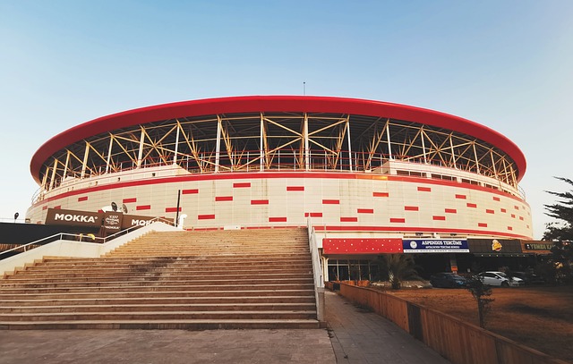 新規則強調 新規則強調