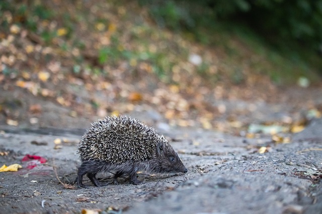 这里不仅是 这里不仅是