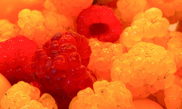 景的项目 景的项目