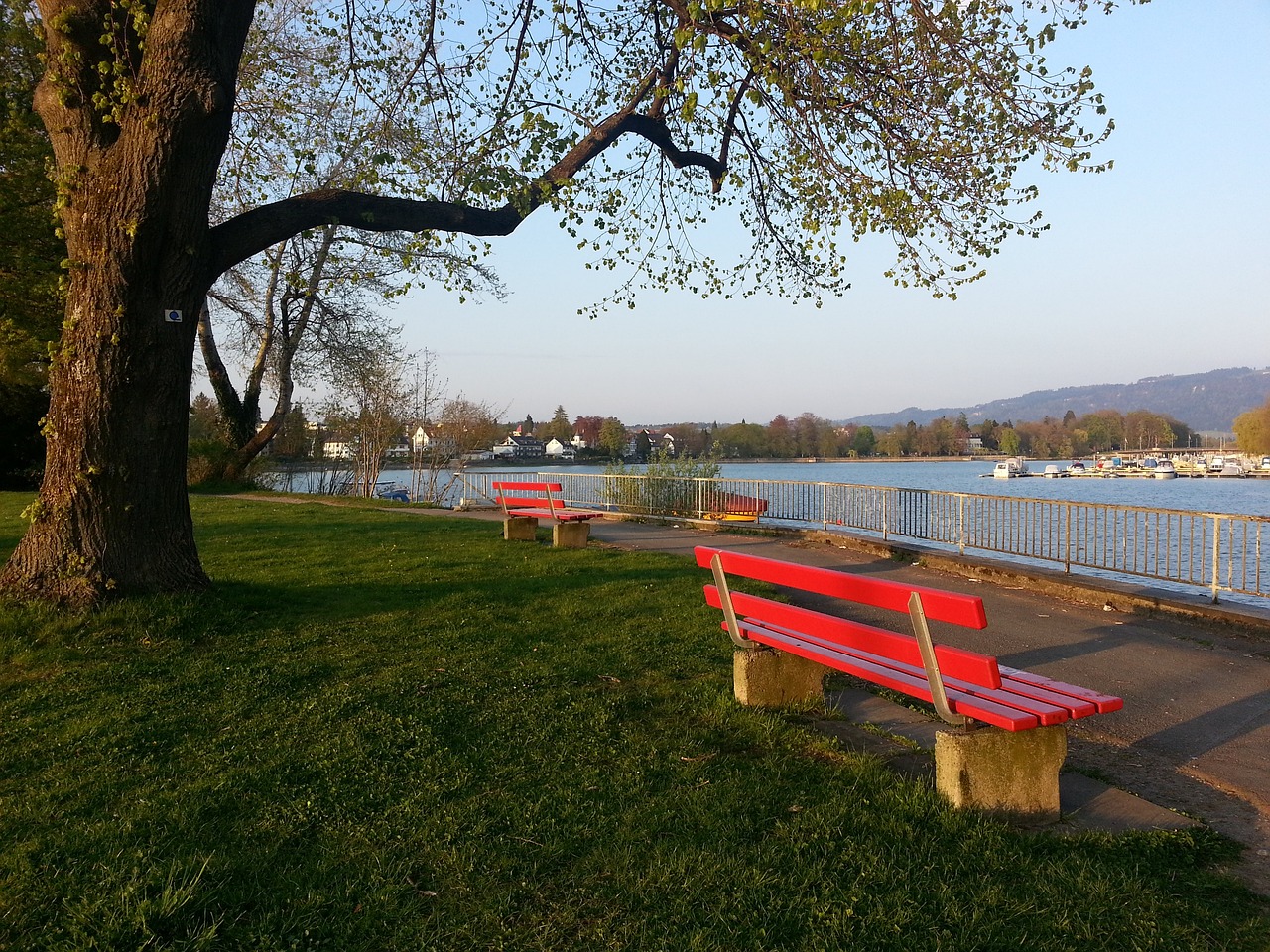 年启动以来 年启动以来