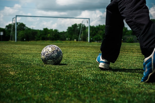 中国企业树 中国企业树