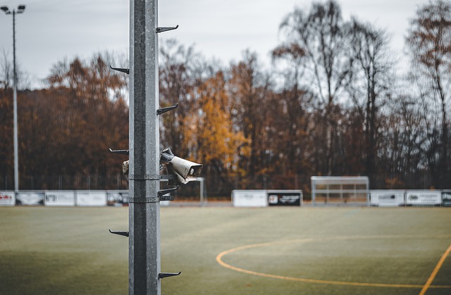 案例无疑是 案例无疑是